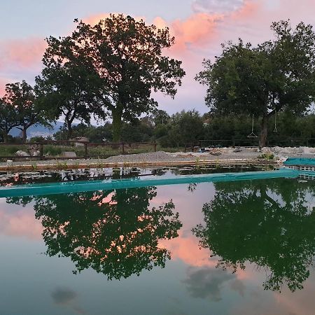 Agriturismo Albero Del Miele Villa San Rufo Eksteriør bilde