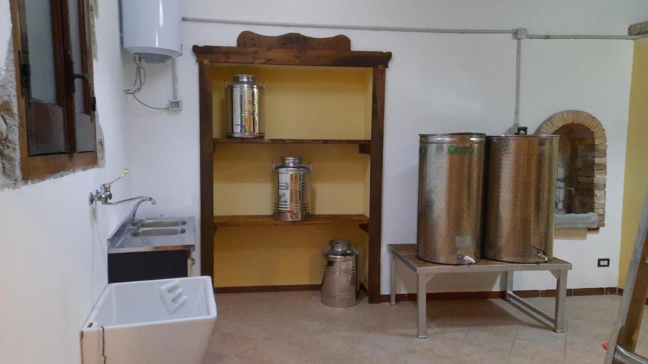 Agriturismo Albero Del Miele Villa San Rufo Eksteriør bilde